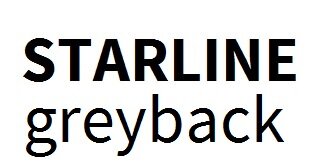 Einde reeks - Starline Greyback (GD2) 250g/m² 510 x 720 mm SG 340 µ