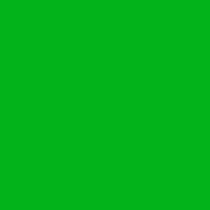neon green 1571