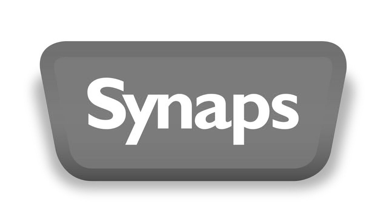 Einde reeks - Synaps OMF wit 90g/m² 720 x 1020 mm LG 85 µ
