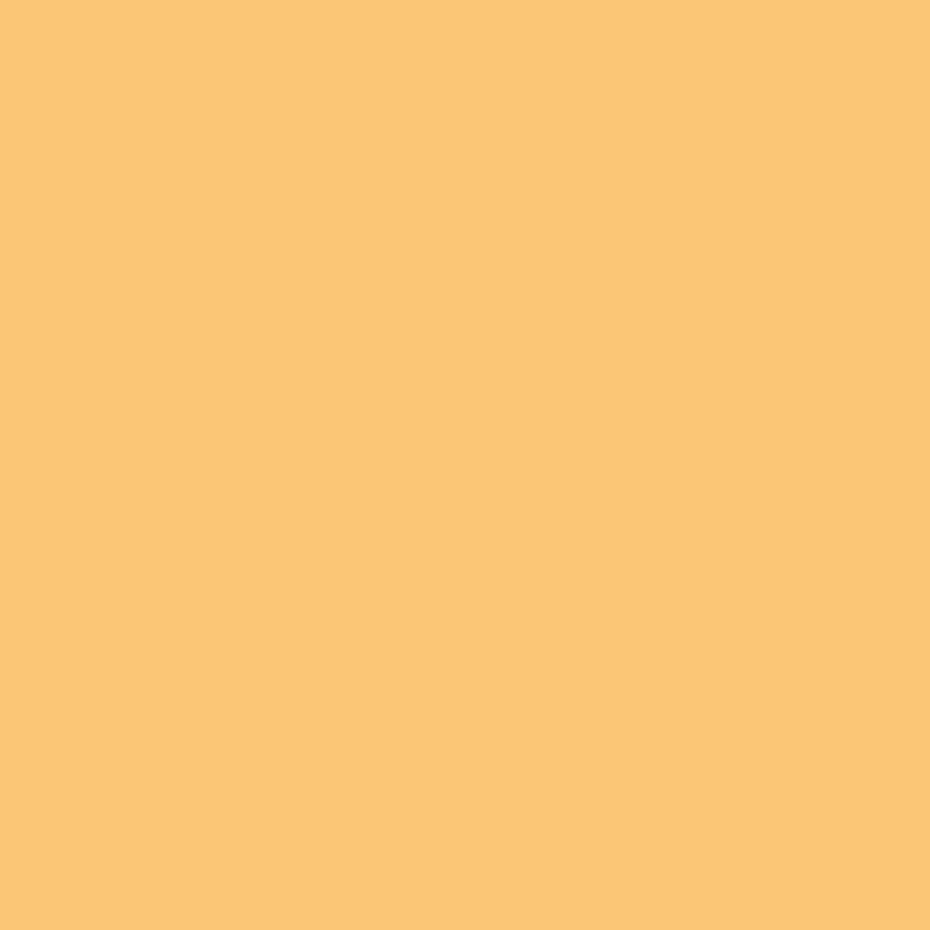 Fin de série - Clairefontaine feuilles pastel abricot 2064 80g/m² 450 x 640 mm LG