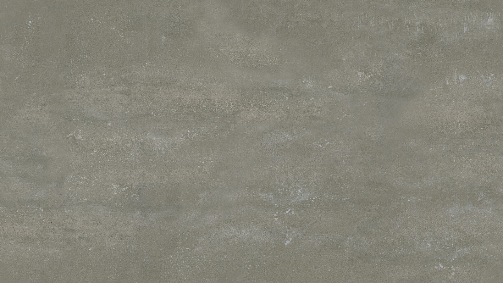 DS244