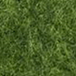 olijfgroen