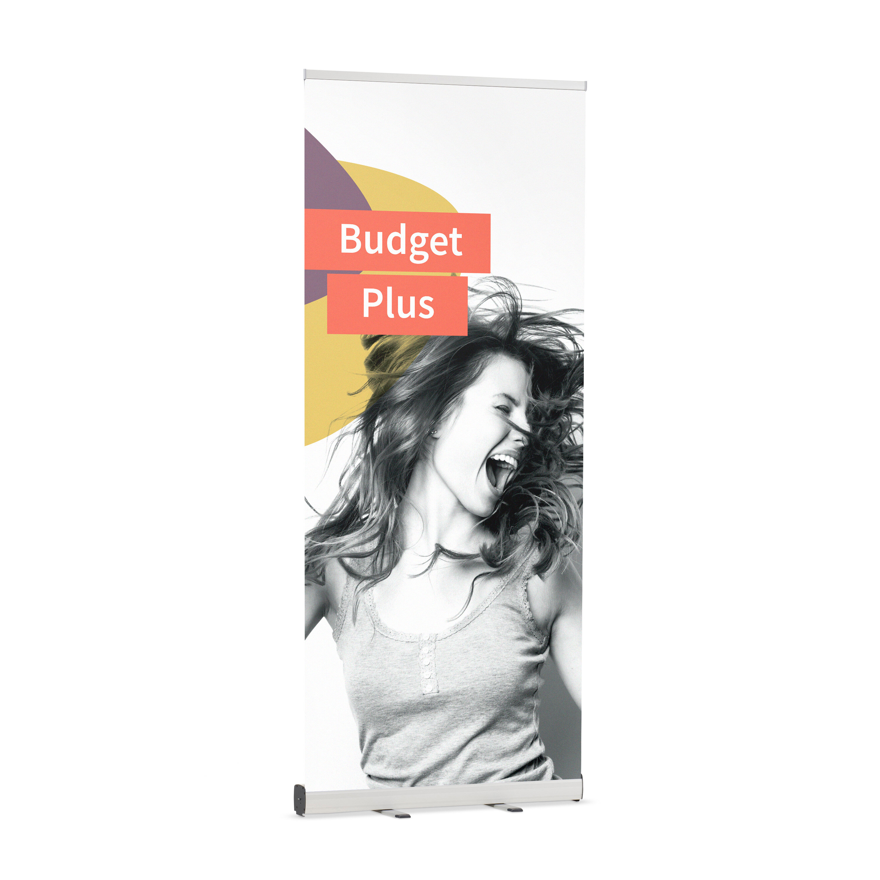Roll-Up Budget Plus